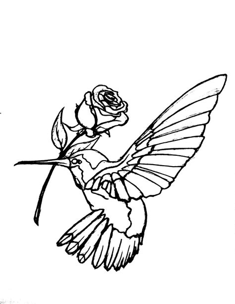 Check spelling or type a new query. Free Hummingbird Clipart Pictures - Clipartix