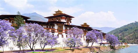 Heavenly Bhutan Luxury Tour Operator And Best Travel Agency