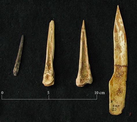 Herramientas De La Prehistoria Explicaci N Y Sus Materiales