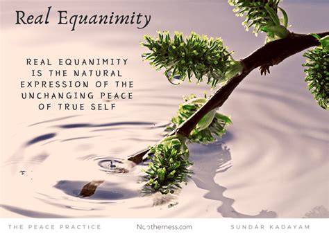 Real Equanimity No Otherness