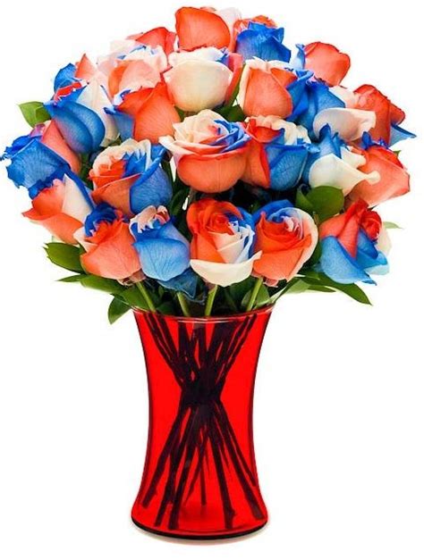 2 Dozen Real Red White And Blue Patriotic Roses Patriotic Red White