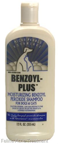 Today's topic is indeed something you should be obsessing. Feline Acne Treatment