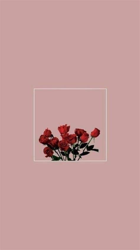 Aesthetic pink wallpapers top free aesthetic pink backgrounds wallpaperaccess pastel pink aesthetic wallpaper edgy baddie aesthetic background in 2020 pink aesthetic pastel. red rose pink flower in 2020 | Aesthetic iphone wallpaper, Phone wallpaper, Aesthetic wallpapers