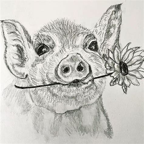 16 Easy Pig Drawings That Are Oink Tastic Beautiful Dawn Designs
