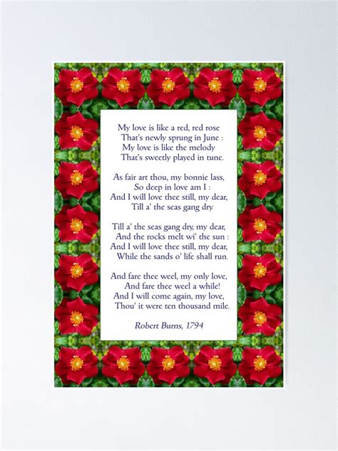 My Love Is Like A Red Red Rose Burns Anglicised Poster For