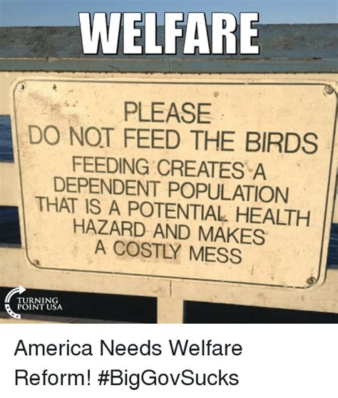 Welfare Please Do Not Feed The Birds Feeding Creates A Dependent