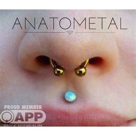 Check Out This Sweet And Simple 12g Septum Piercing By Cody Fitted With A