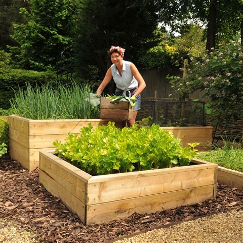 Maybe you would like to learn more about one of these? Standard Wooden Raised Beds - Harrod Horticultural