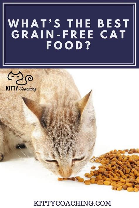 2 the best dry cat foods (top recommendations). What's the Best Grain-Free Cat Food? (2018)
