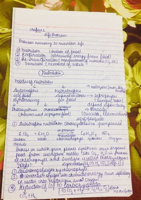 NCERT Class Biology Life Processes Chapter Handwritten Notes Shop Handwritten Notes SHN