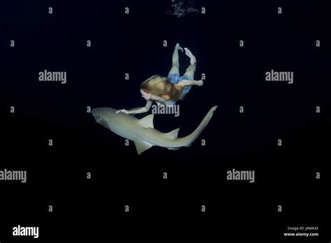 Young Beautiful Woman Swims At Night With A Shark Tawny Nurse Sharks