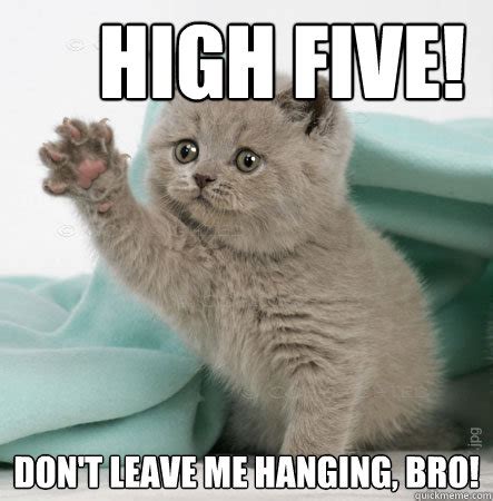 Make your own images with our meme generator or animated gif maker. High five! Don't leave me hanging, bro! - High Five Cat ...