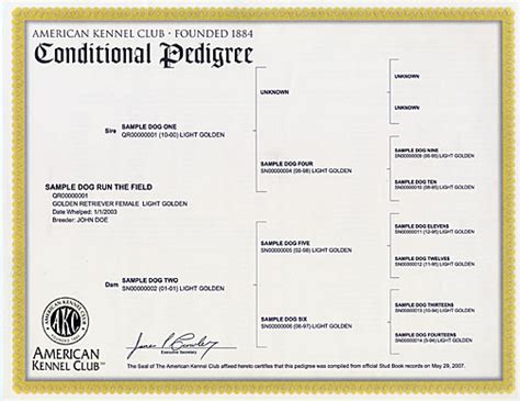 Conditional Registration Certificate And Pedigree American Kennel Club