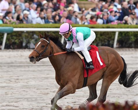 Brian Nadeaus Road To The Triple Crown 2019 The Florida Derby