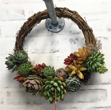 Diy Succulent Wreath Diy Wreath Hoop Wreath Succulent Wreath