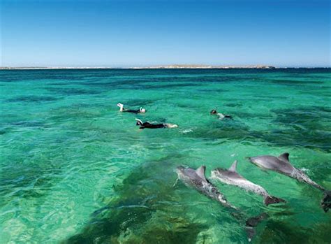 Baird Bay Experience Baird Bay Tour South Australia