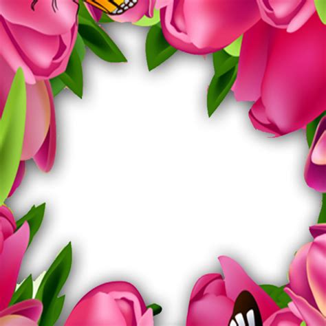 Flower Frame Design Beautiful Pink Rose Flower Transparent Png