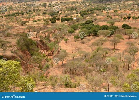 The Arid Landscapes Of Kilome Plains Makueni County Kenya Stock Image