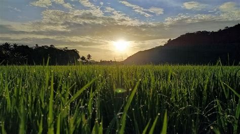 34 Foto Matahari Terbit Pagi Kumpulan Gambar Pemandangan