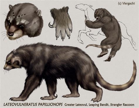 Future Raccoon Evolution Depicted By Viergacht On Deviantart This Is