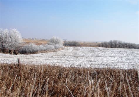New Today Nebraska Farm Land For Sale 307 Acres Dryland And Grass