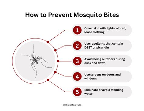 Why Do Mosquitoes Bite And Why Do The Bites Itch Phlebotomy Usa