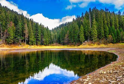 View On Crystal Clear Lake With Grassy Stock Image Colourbox