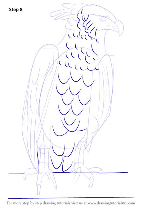 Step By Step How To Draw A Harpy Eagle