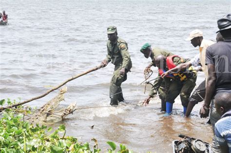 After At Least Four Villagers Dead 2200 Lb Man Eating Crocodile