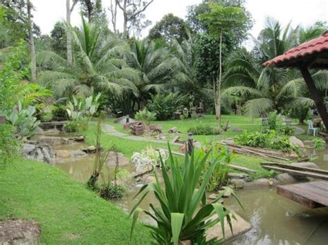 Jom nikmati suasana flora dan fauna di marilah berkunjung ke resort kami di kati,kuala kangsar,perak. Syamille Agrofarm & Resort - Ranch Reviews (Kati, Malaysia ...