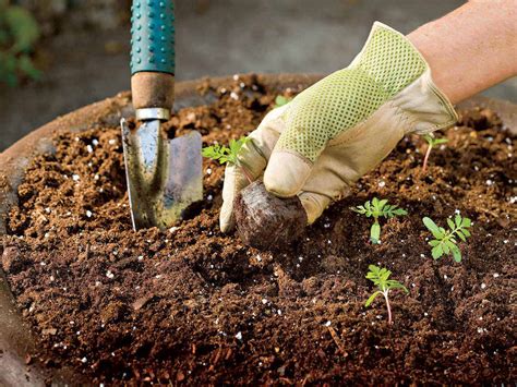 Prepare The Soil For Planting Vegetables Indoor Garden Nook