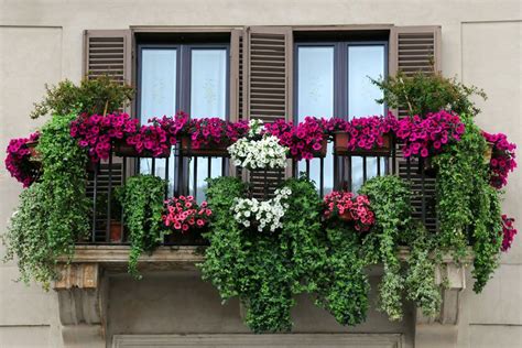 Cómo Hacer Un Jardín En La Terraza O Balcón Flores Balcon Balcones Y
