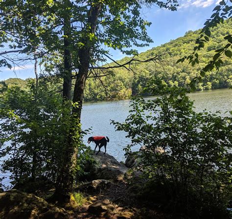 Katie Wanders Lake Zoar Loop Hike To Prydden Falls Connecticuts