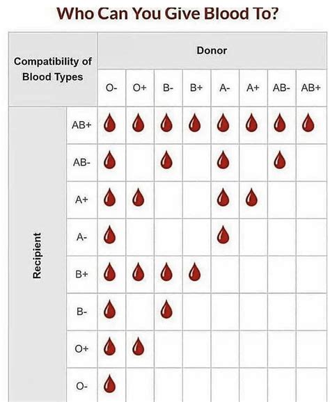 This Cool Blood Donor Guide Rcoolguides