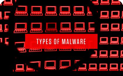 11 Types Of Malware Examples That You Should Know