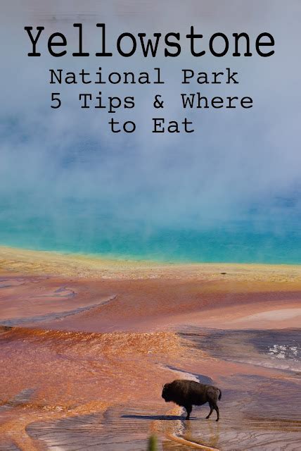 Yellowstone National Park Tips Alley S Recipe Book