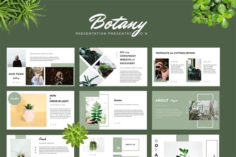 Botany Powerpoint Presentation Graphic By Tmint · Creative Fabrica