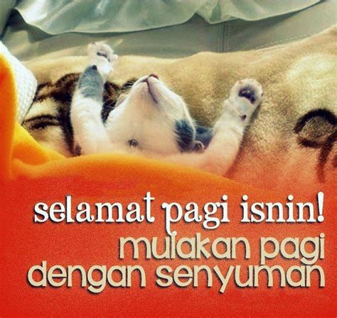 Bagikan ucapan selamat pagi dari canva kepada keluarga, sahabat, kolega kantor dan teman. Gambar Gambar Dp Bbm Kata Cinta Kumpulan Kucing Aja Tidur ...