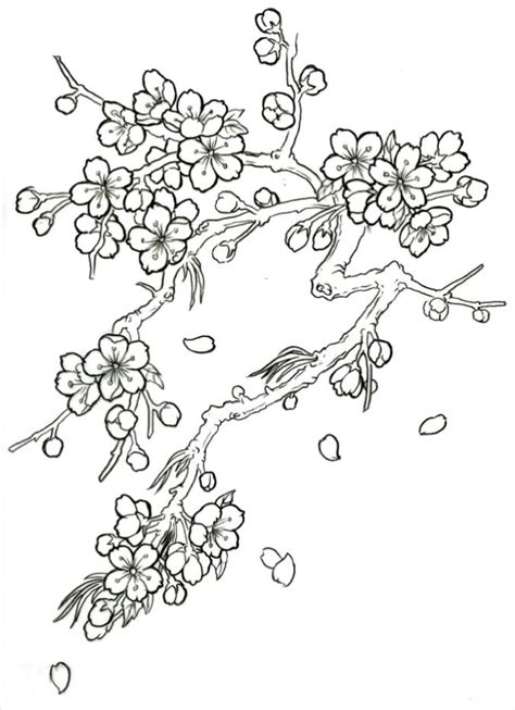 Cherry blossom coloring page the cherry tree is a flower of several trees of the genus prunus particularly the japanese cherry prunus serrulata all dogwood blossom bird flower from cherry tree coloring page free pages printable ðoloring ages blossoms this download red cardinal and. Vampire_Kitty13_2008's image | Cherry blossom drawing ...
