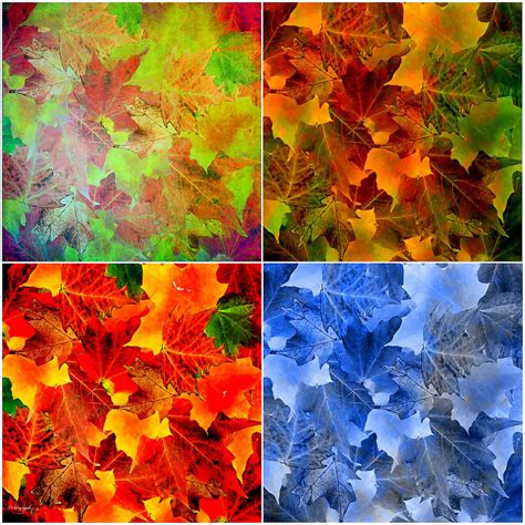 Four Seasons In Abstract Digital Art By Lourry Legarde