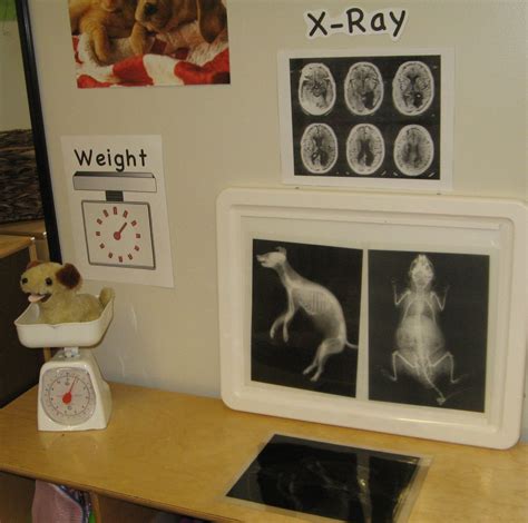 How to start with diet: Vet clinic. | Dramatic play preschool, Dramatic play ...