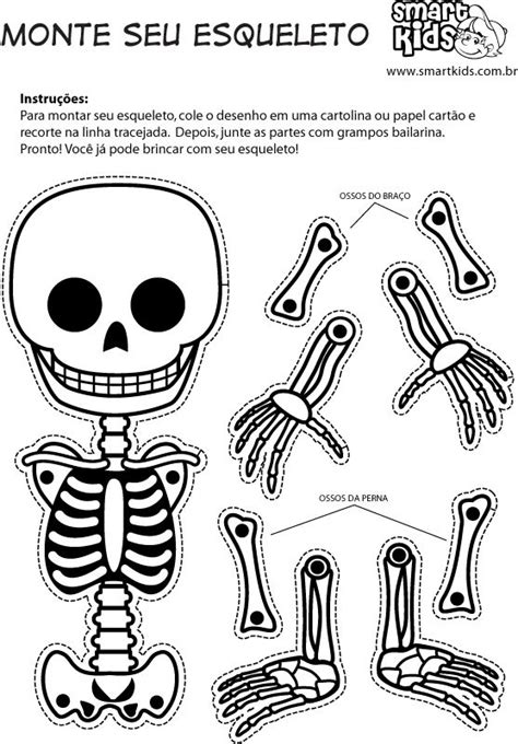 Esqueleto Esqueleto Para Armar Esqueleto Humano Para Niños Arte De