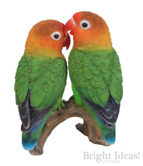 Love Birds Svg Bundle Love Birds Clipart Love Birds Clipart Library