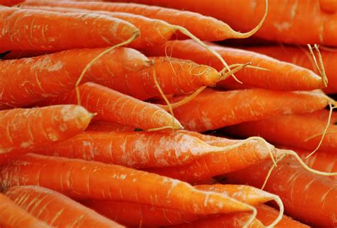 Orange Carrots · Free Stock Photo
