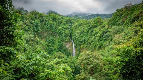 Must-Visit Attractions in Costa Rica