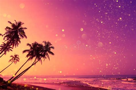 Tropical Sunset Beach With Coconut Palm Trees Silhouettes And Magic