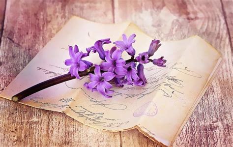 Einleitung der bewerbung knackigen einleitungssatz formulieren für anschreiben + initiativbewerbung viele beispiele & tipps für den ersten satz. ᐅ Das Wenn-Buch - Meine Wenn-Buch Liste, Einleitung und mehr