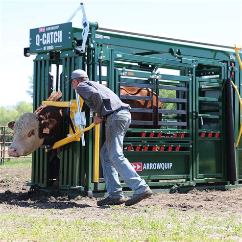 Q Catch 87 Series Cattle Squeeze Chute 15 Year Warranty Arrowquip