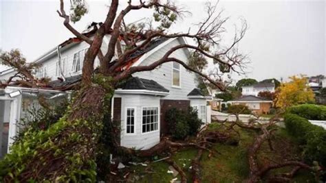 What To Do If A Storm Has Damaged Your Home Handyman Tips