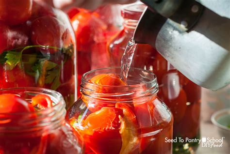 14 Things You Should Know Before You Start Canning Seed To Pantry School